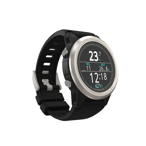 komputer nurkowy shearwater tern.png