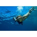 butla ucieczkowa z automatem mini dive pro.webp